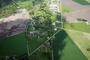 ID:5288132 Pildistuskõrgus: 1.3 km 2021-06-02